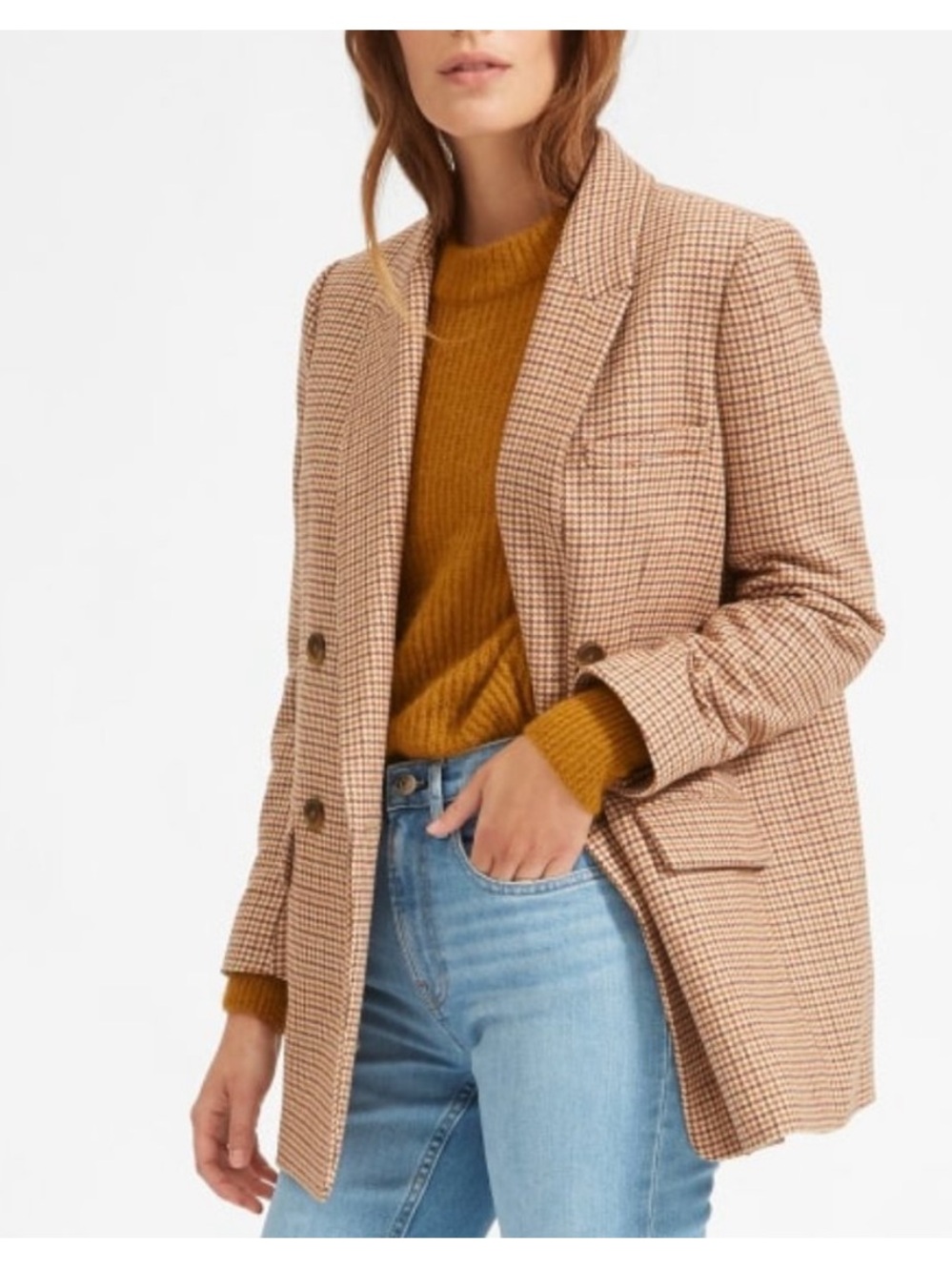 Everlane The Italian Wool Oversized Houndstooth Blazer